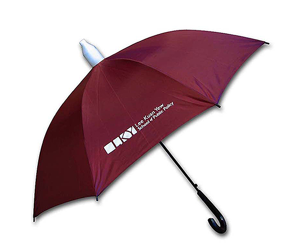 Purple Color Advertising Kargil Umbrella with Water Cap